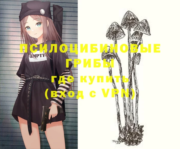 твердый Абинск