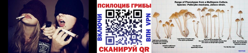 закладки Шиханы Псилоцибиновые грибы прущие грибы