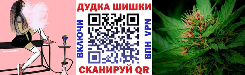 где можно купить наркотик  mega ссылки  Каннабис марихуана  Шиханы 
